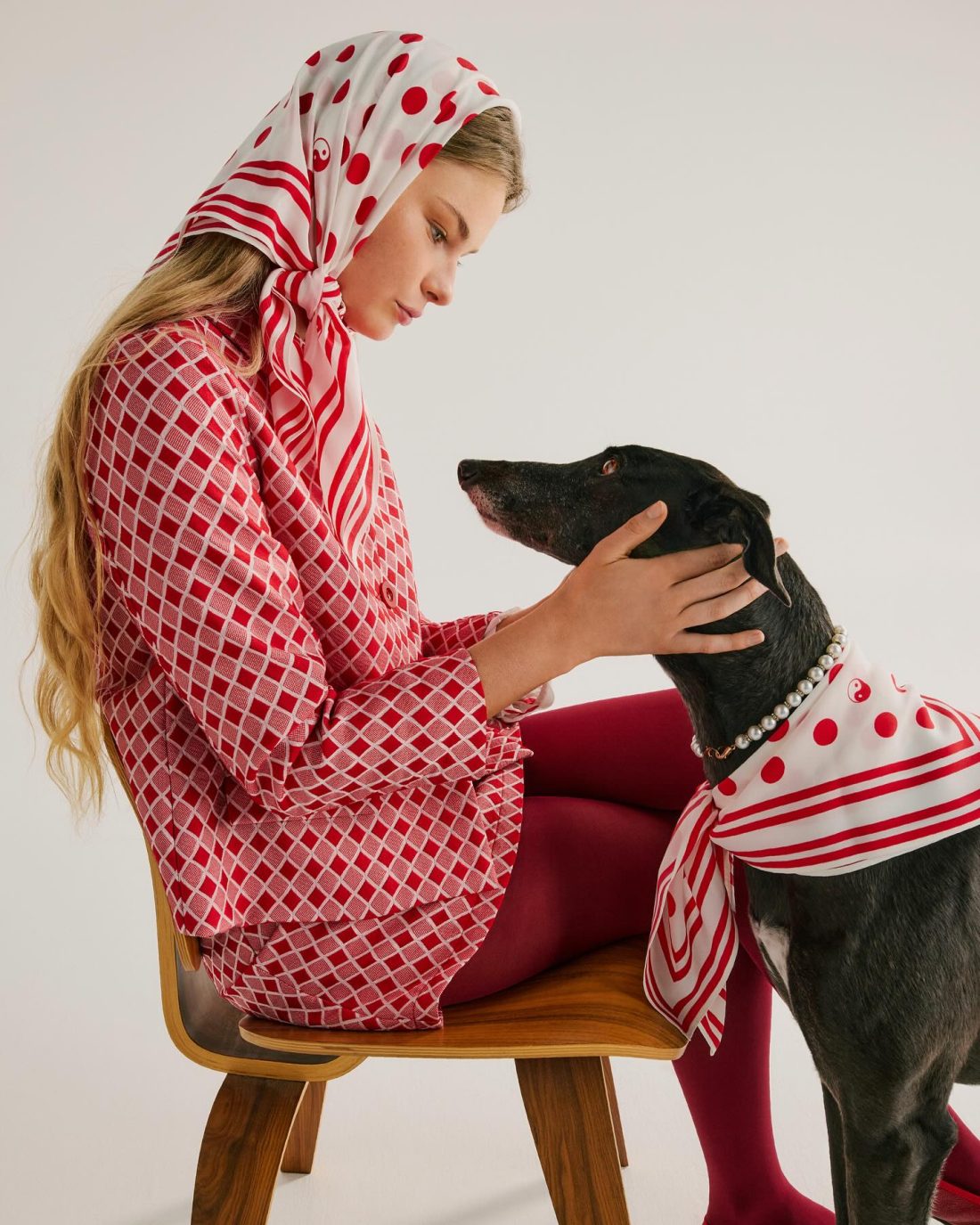 Kaya & Kaarina photographed for GREATHOUNDS by Mara Sommer; @greyhoundsaspetsnz @nzfashionwk Supported by @animates  Creative Director and Stylist @danahwa Editorial imagery by @marasommer @thecollectiveforce Photo assistant @ant_looow Agency: @_specialpr @special_group H/MUA: @liz_hyun Art Department: @leahmizrahi   Designers @karenwalker @stolengirlfriendsclub @kowtowclothing @twentysevennames @pennysage @nom_d @sylvester.pg @trelisecooper Leads and Collars by @subwoofer_dog